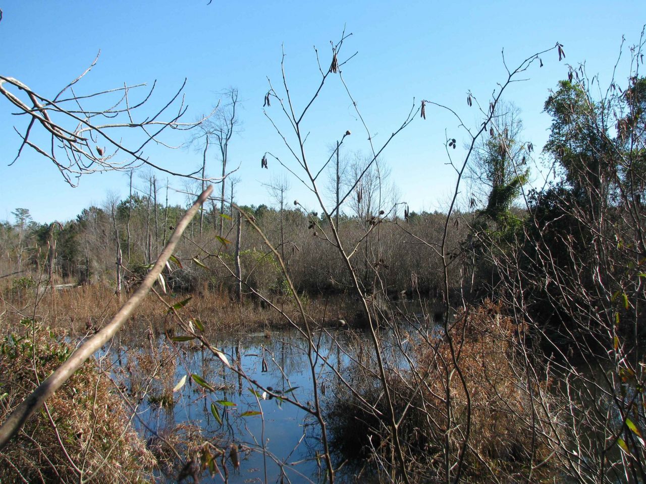 0 Cannery Rd  Photo 31