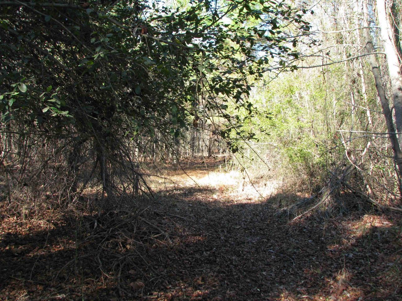 0 Cannery Rd  Photo 39