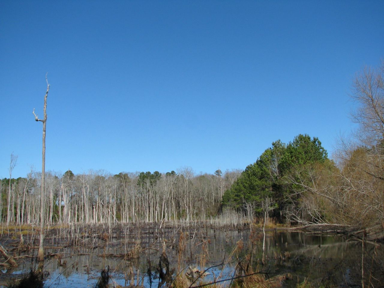 0 Cannery Rd  Photo 43