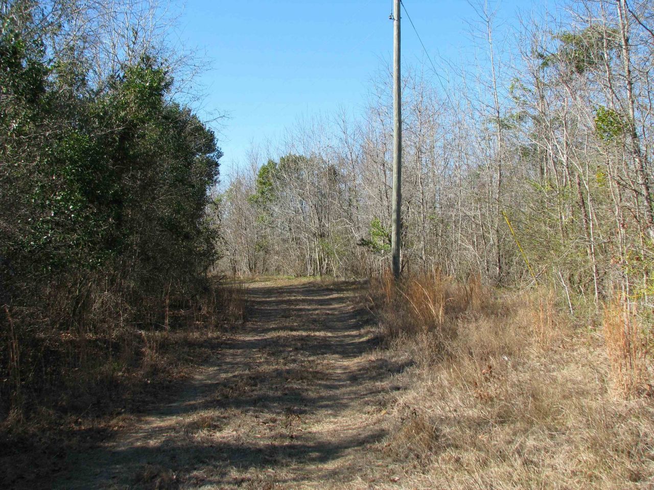 0 Cannery Rd  Photo 47