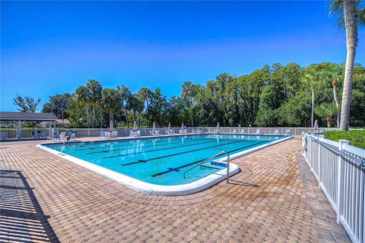 3439 Teeside Drive, New Port Richey, FL 34655 Photo