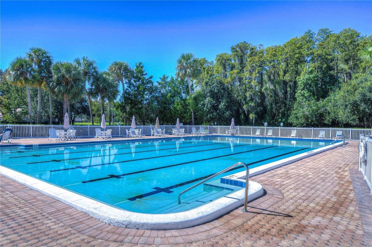 3439 Teeside Drive, New Port Richey, FL 34655 Photo