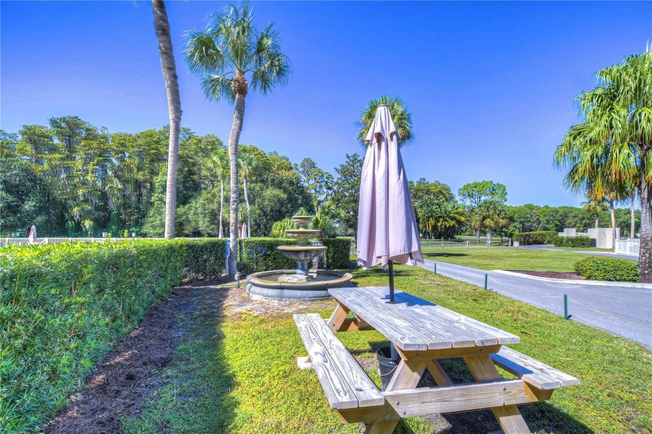 3439 Teeside Drive, New Port Richey, FL 34655 Photo