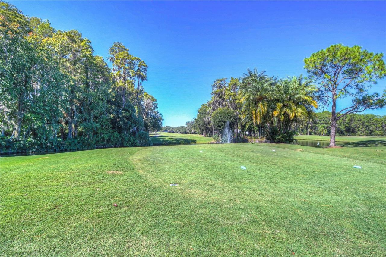 3439 Teeside Drive, New Port Richey, FL 34655 Photo