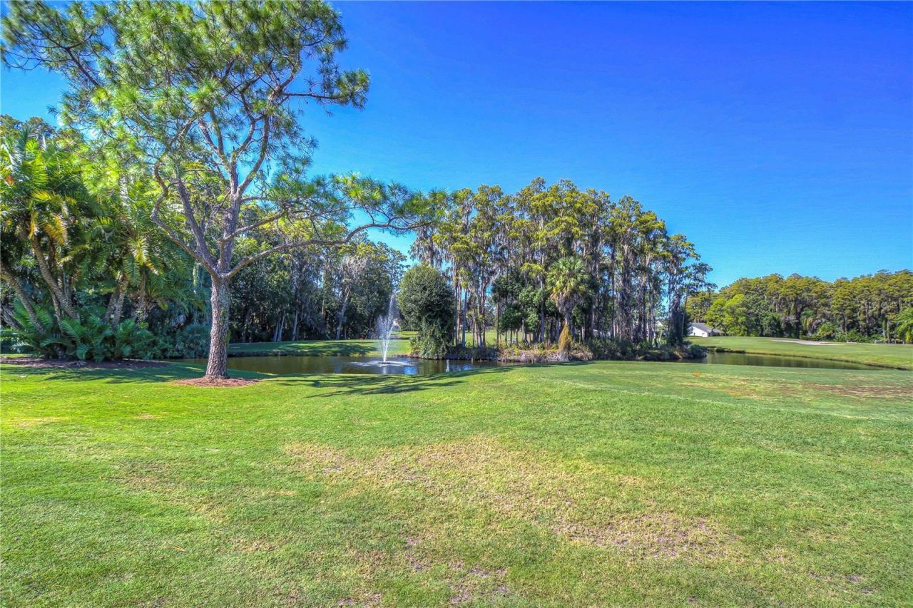 3439 Teeside Drive, New Port Richey, FL 34655 Photo
