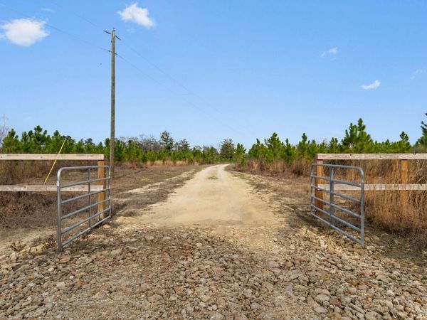 81 Acres Show Horse Way, Laurel Hill, FL 32567
