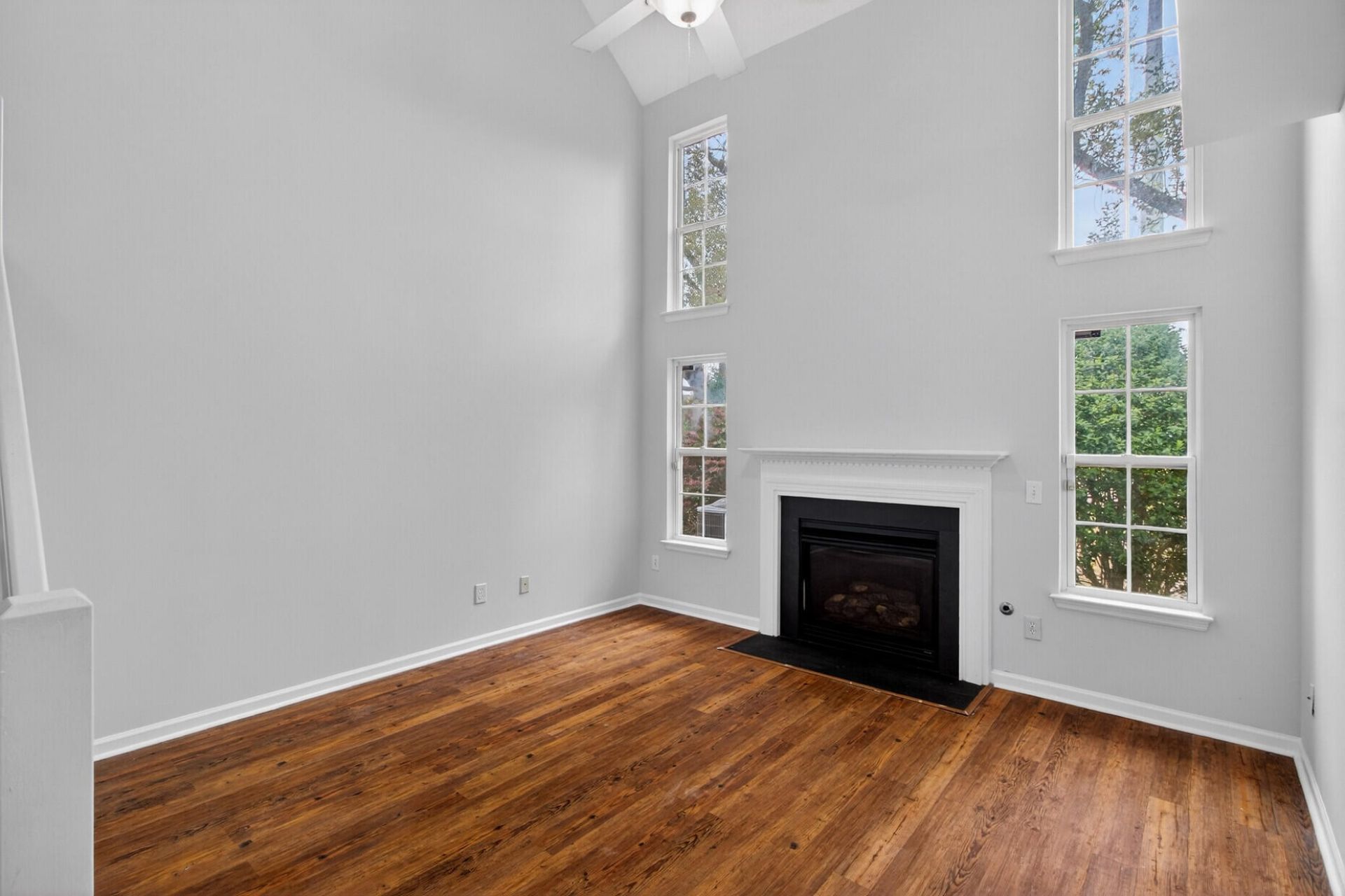 1004 Yellow Hawthorn Photo 12