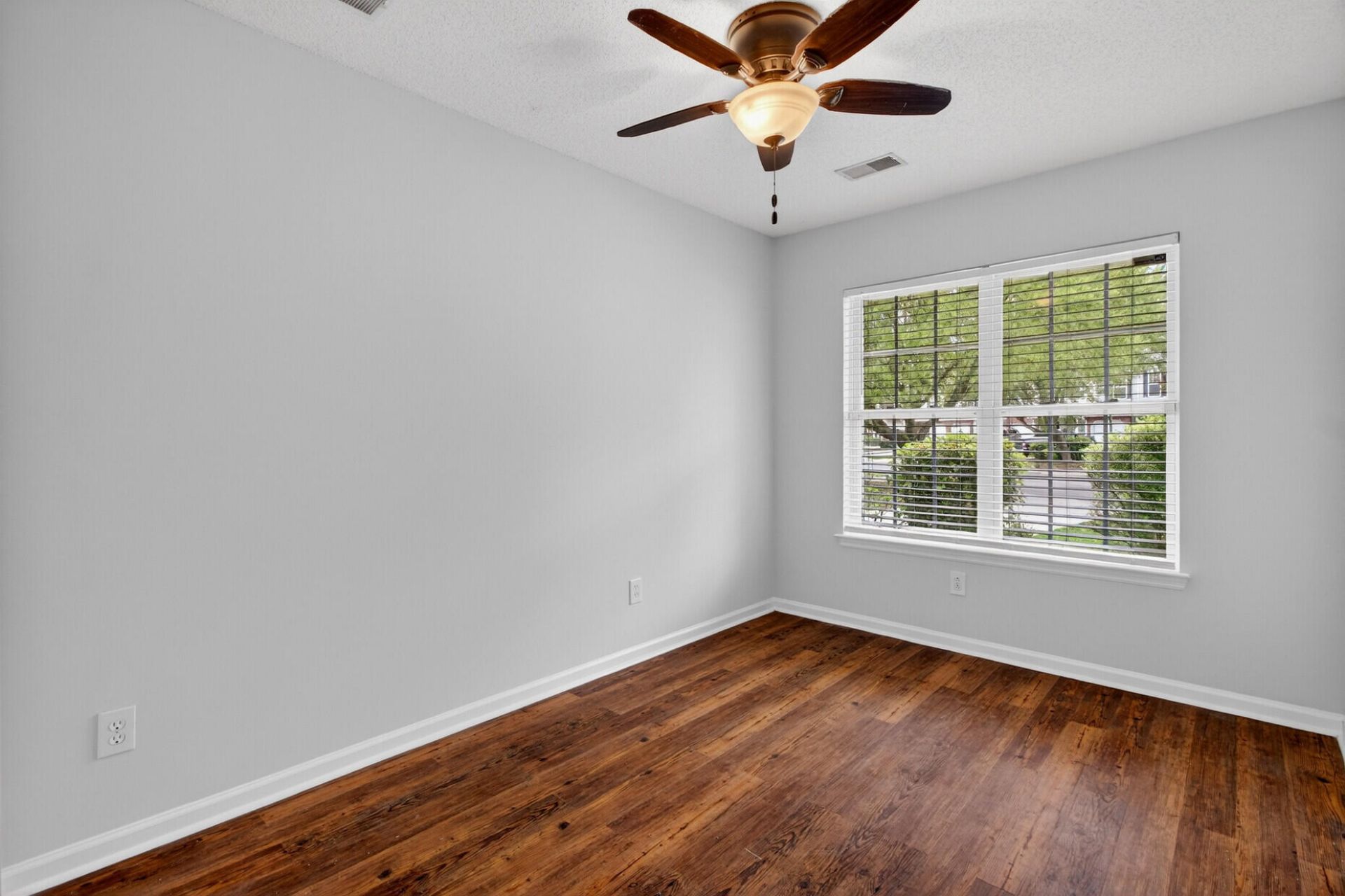 1004 Yellow Hawthorn Photo 14