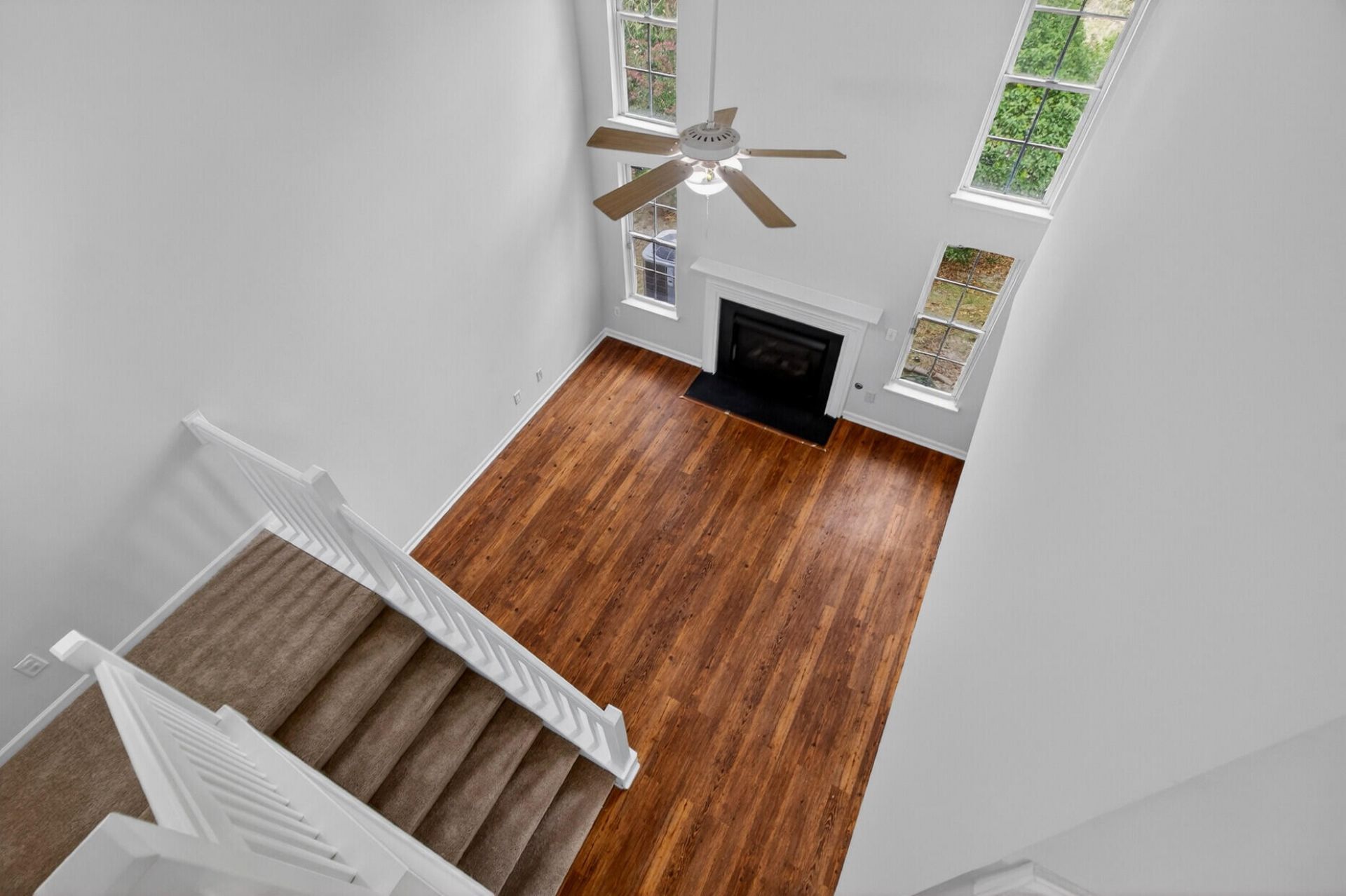 1004 Yellow Hawthorn Photo 18