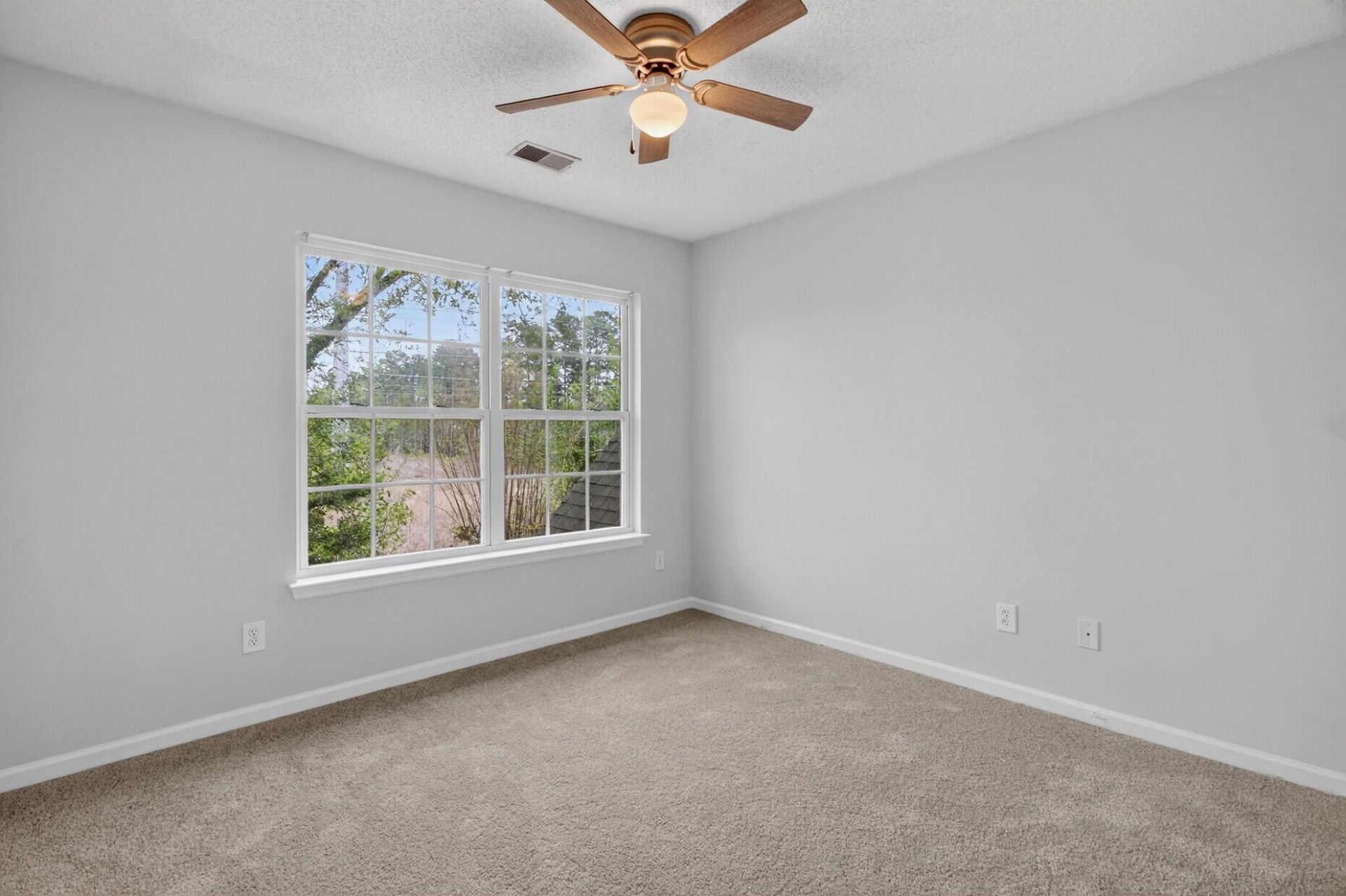 1004 Yellow Hawthorn Photo 19