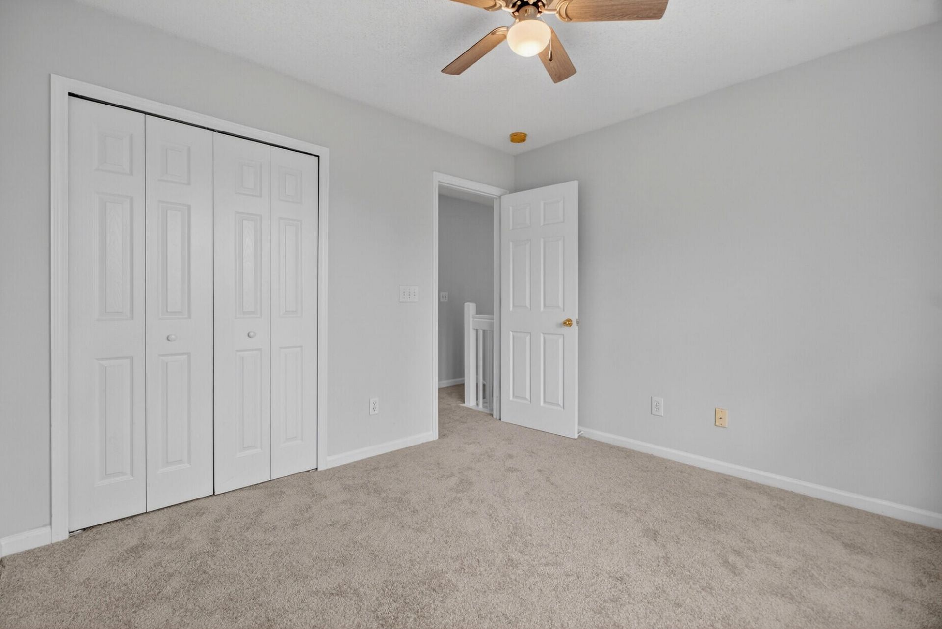 1004 Yellow Hawthorn Photo 20