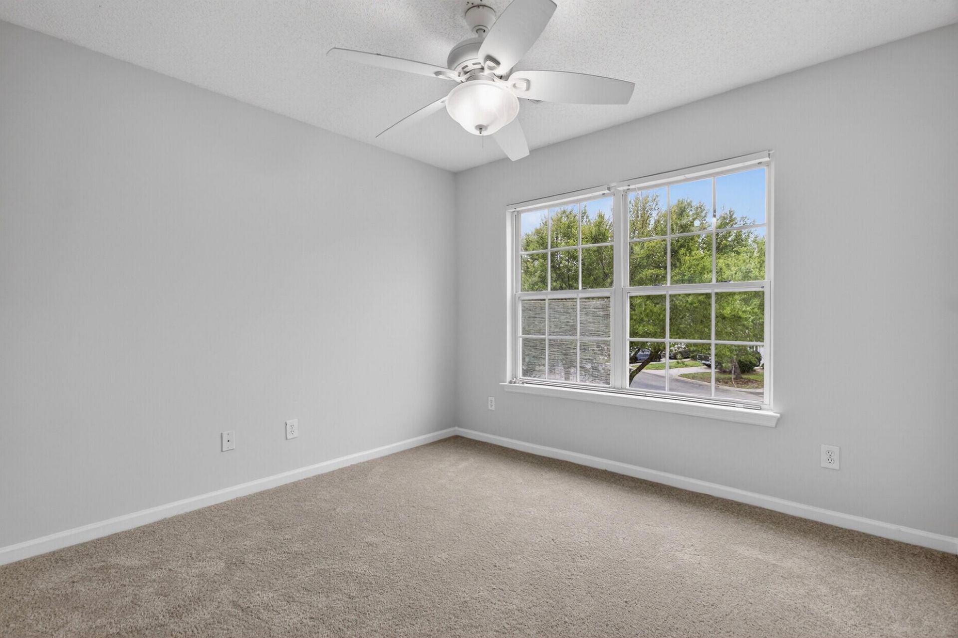 1004 Yellow Hawthorn Photo 23