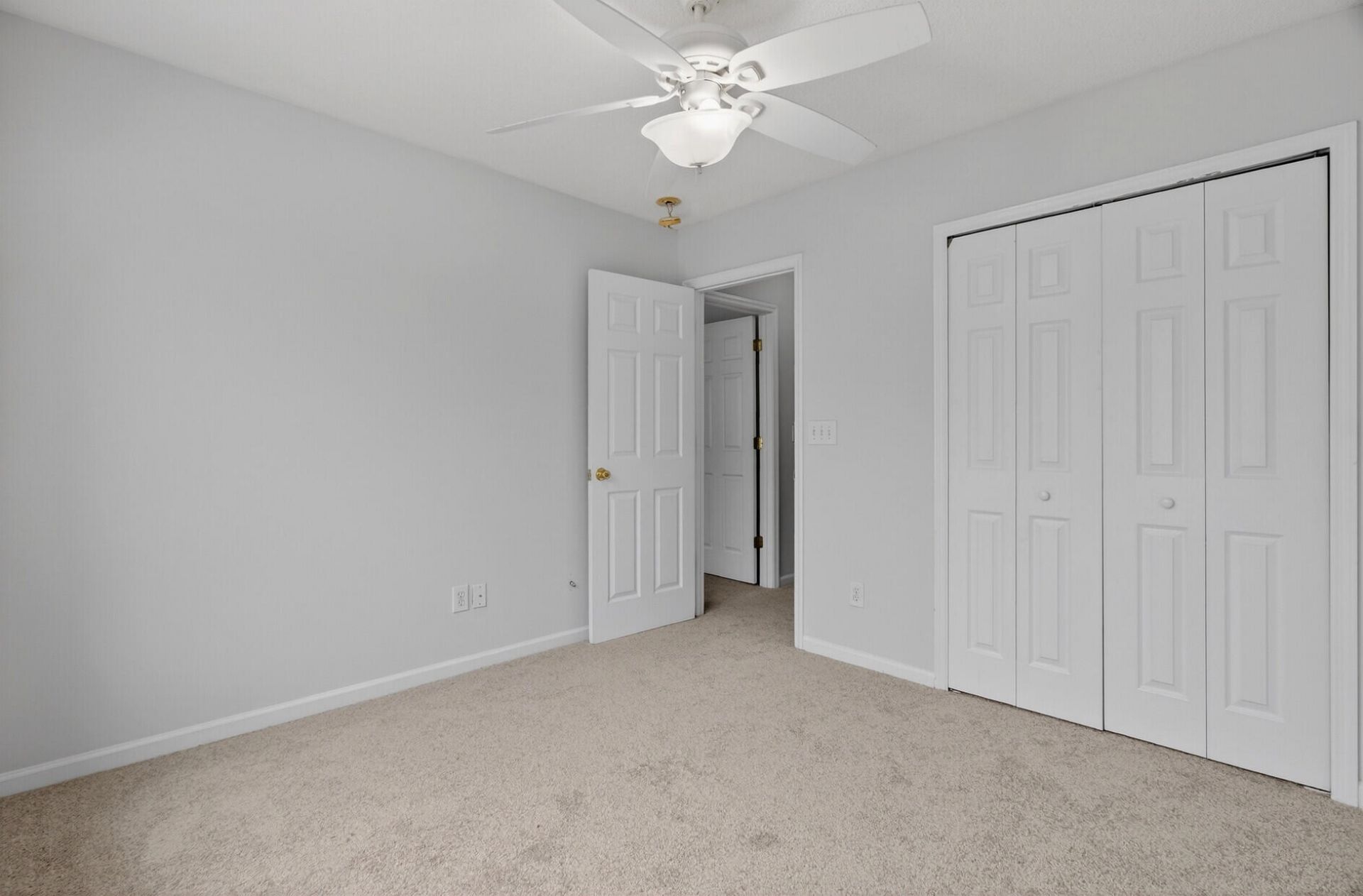 1004 Yellow Hawthorn Photo 24