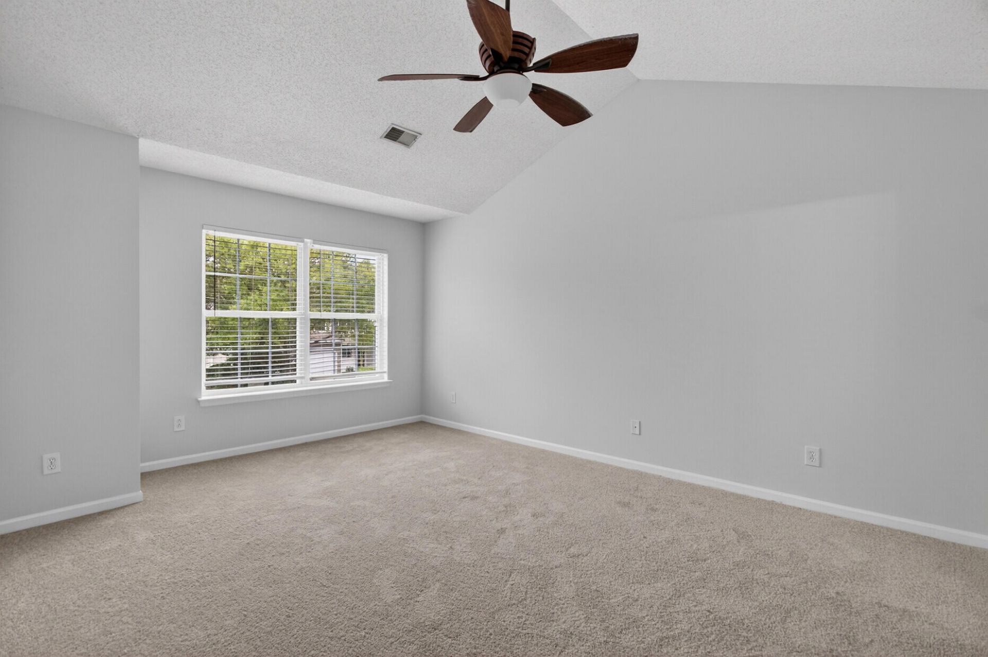 1004 Yellow Hawthorn Photo 26