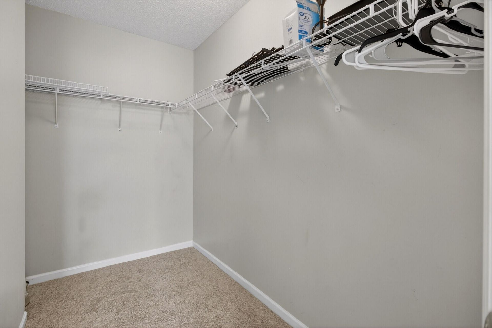 1004 Yellow Hawthorn Photo 28