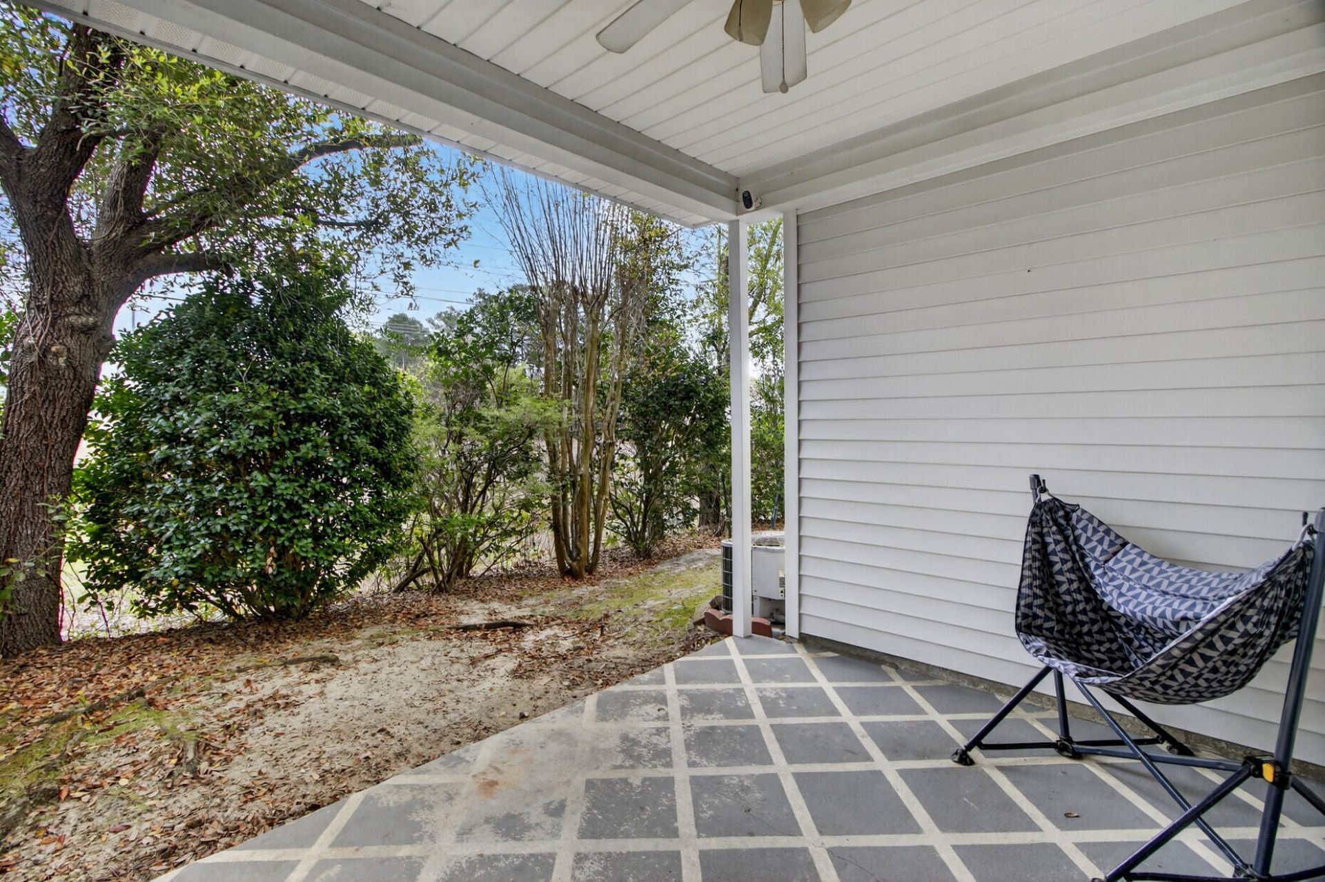 1004 Yellow Hawthorn Photo 31