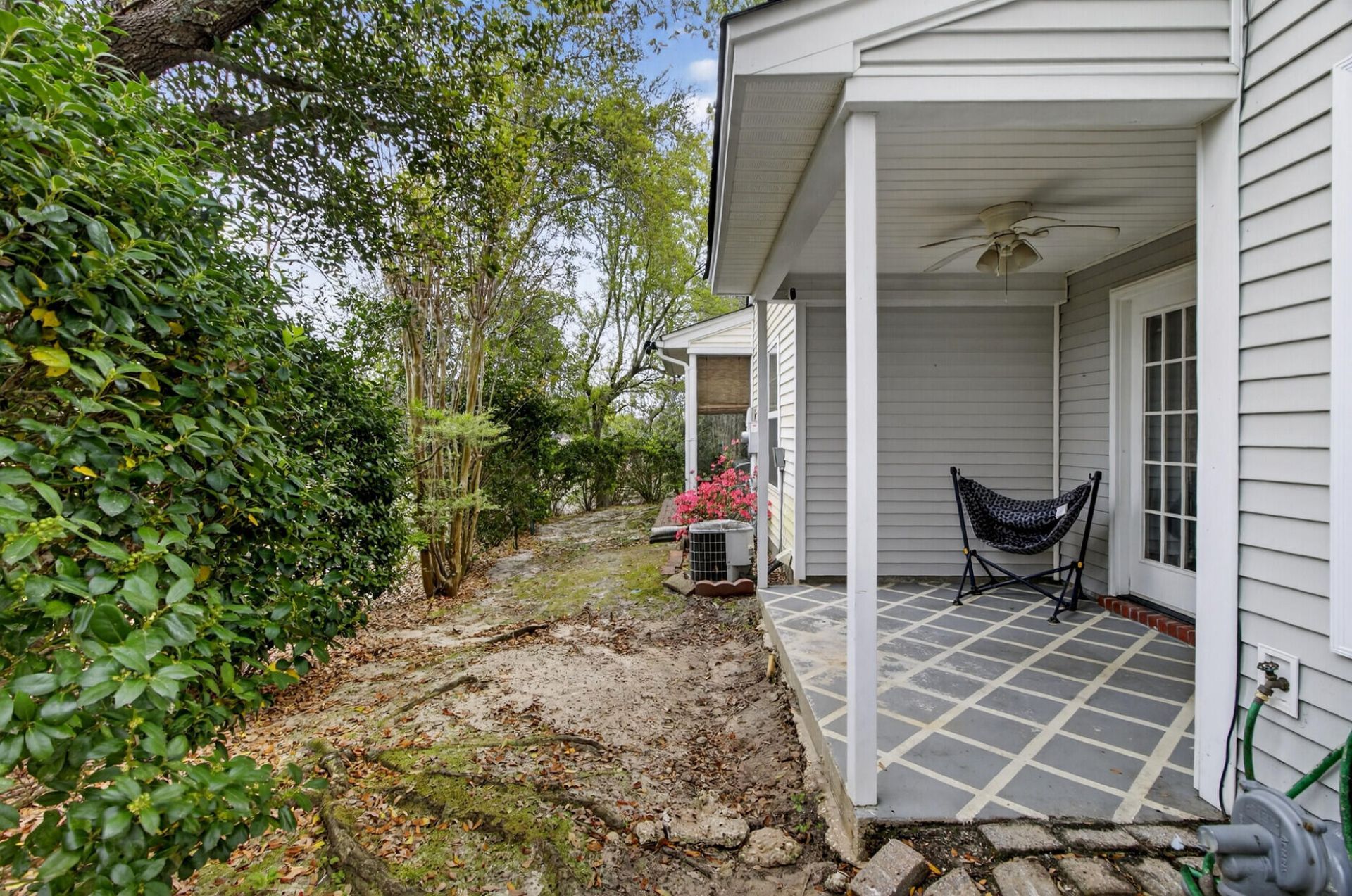 1004 Yellow Hawthorn Photo 33