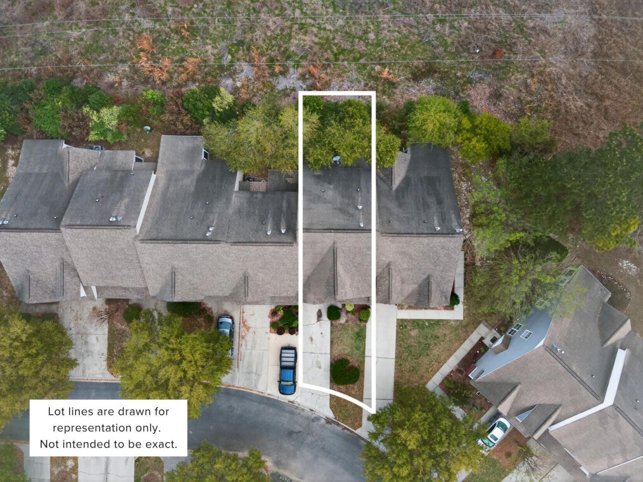 1004 Yellow Hawthorn Photo 34