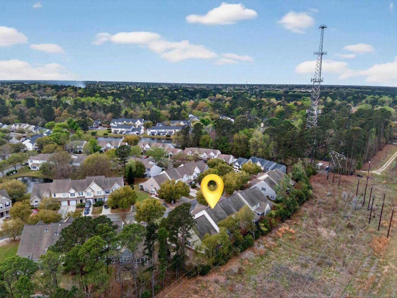 1004 Yellow Hawthorn Photo 37