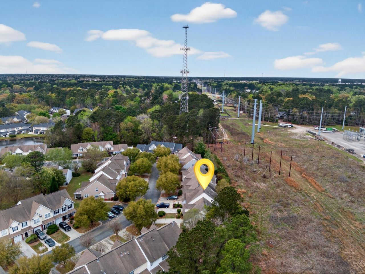 1004 Yellow Hawthorn Photo 38