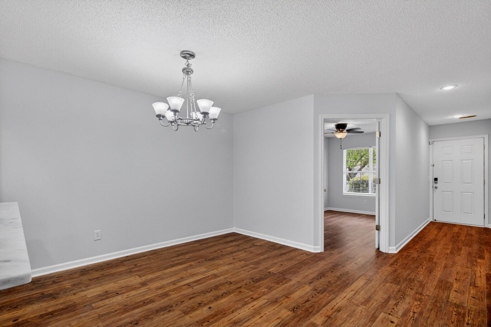 1004 Yellow Hawthorn Photo 6