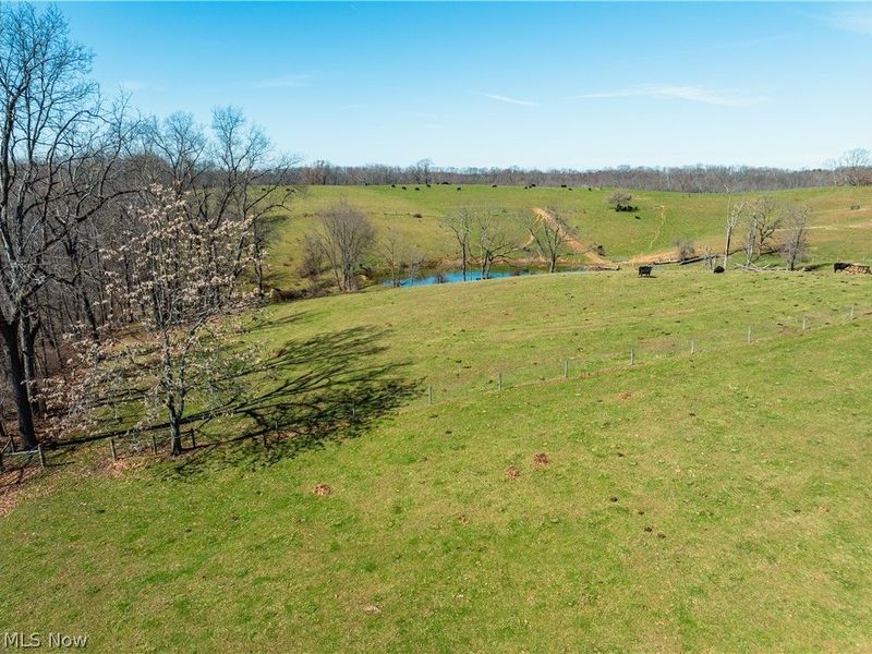 91100 Eckley Road, Jewett, OH 43986 Photo 3