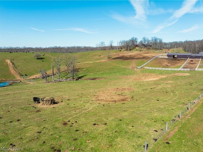 91100 Eckley Road, Jewett, OH 43986 Photo 5