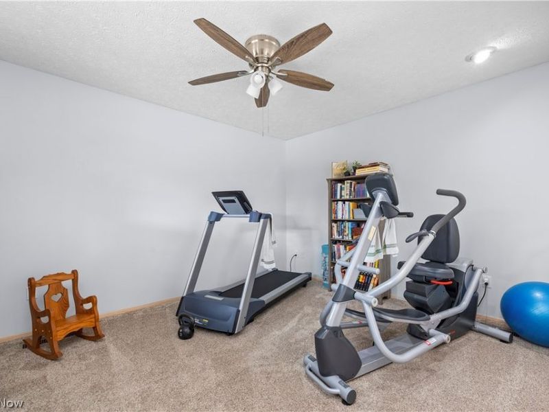 33017 Hidden Hollow Court, North Ridgeville, OH 44039 Photo 23