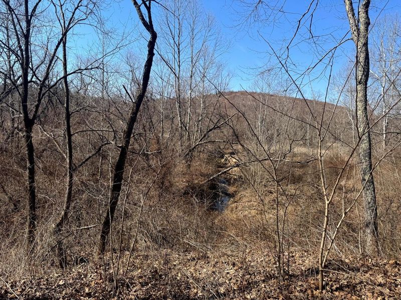 0 Sulphur Spring Road SE, Unit (Sulphur S, New Lexington, OH 43764 Photo 10