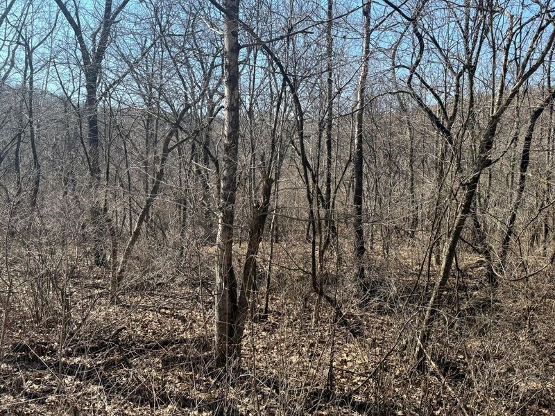 0 Sulphur Spring Road SE, Unit (Sulphur S, New Lexington, OH 43764 Photo 11