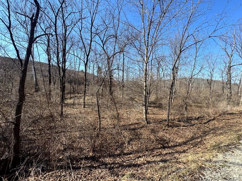 0 Sulphur Spring Road SE, Unit (Sulphur S, New Lexington, OH 43764 Photo 13