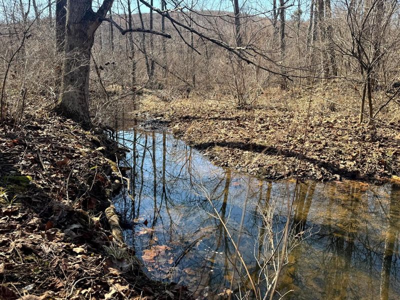 0 Sulphur Spring Road SE, Unit (Sulphur S, New Lexington, OH 43764 Photo 15