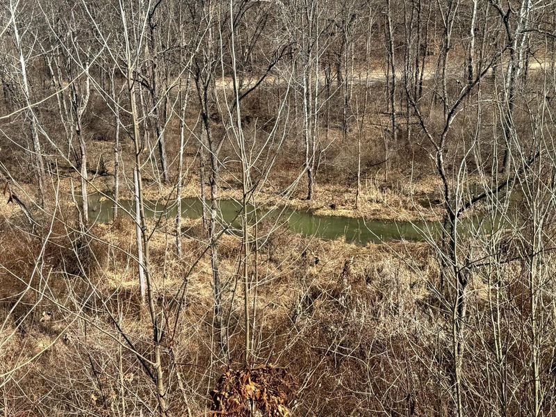 0 Sulphur Spring Road SE, Unit (Sulphur S, New Lexington, OH 43764 Photo 19