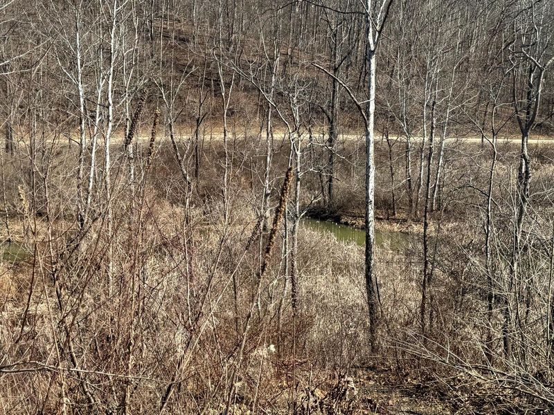 0 Sulphur Spring Road SE, Unit (Sulphur S, New Lexington, OH 43764 Photo 20