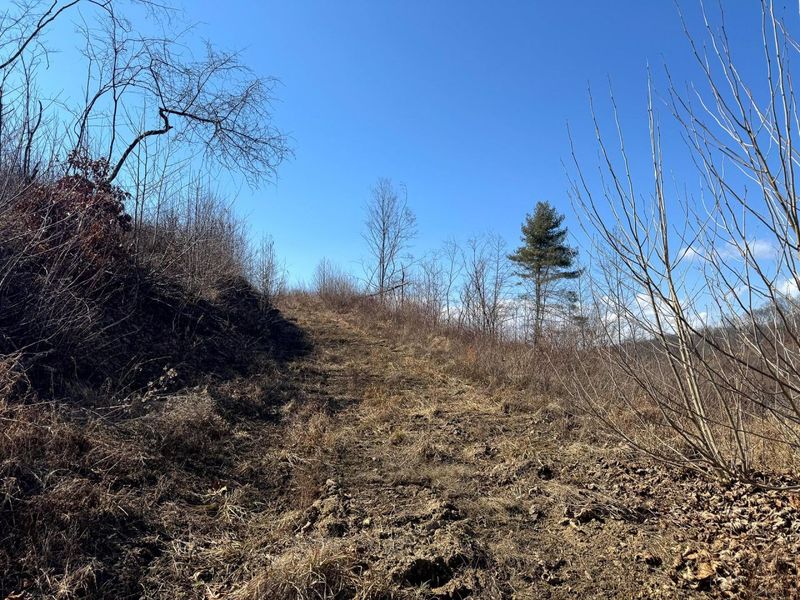 0 Sulphur Spring Road SE, Unit (Sulphur S, New Lexington, OH 43764 Photo 21