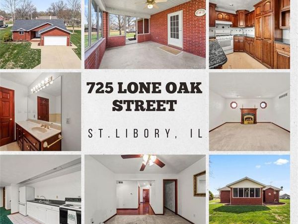 725 Lone Oak Street, St Libory, IL 62282
