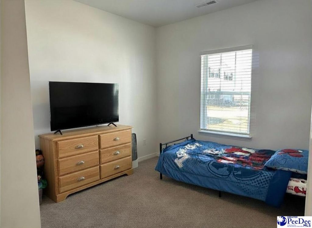 120 Charleston Gray Way Photo 10