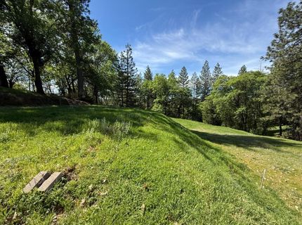 3717 N Railroad Flat Rd, Wilseyville, CA 95257 Photo