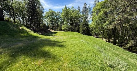 3717 N Railroad Flat Rd, Wilseyville, CA 95257 Photo