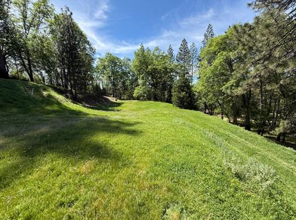 3717 N Railroad Flat Rd, Wilseyville, CA 95257 Photo