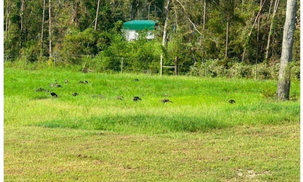 22962 144th Street, Live Oak, FL 32060 Photo