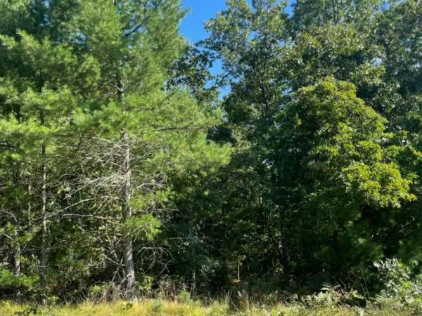 1365 Estate Street, Unit 2, Whitehall, MI 49461