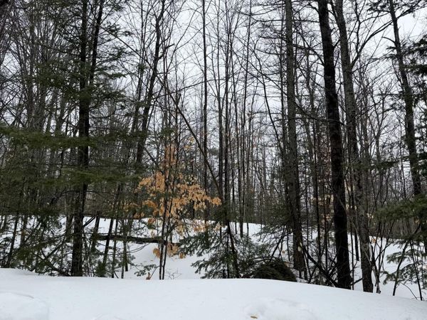 Lot 67 Birch Lane, Frederic, MI 49733