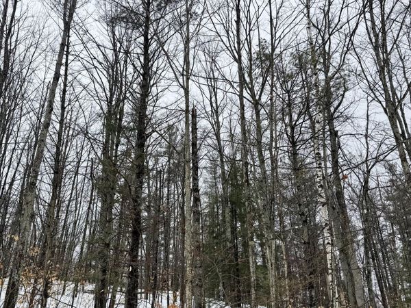 Lot 70 Birch Lane, Frederic, MI 49733