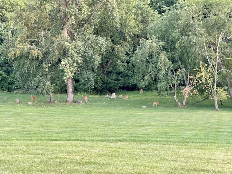 123 Hidden Hills Drive, Pataskala, OH 43062 Photo 66