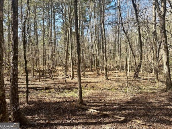 555 Larmon Forks Road, Dahlonega, GA 30533