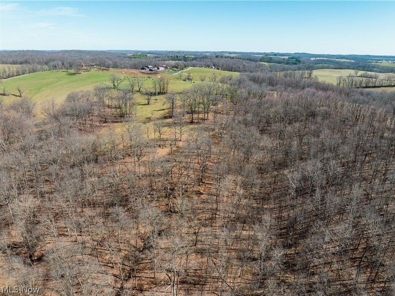91100 Eckley Road, Jewett, OH 43986 Photo 1