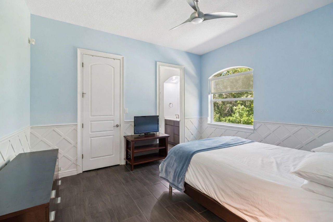 17008 Madres De Avila, Tampa, FL 33613 Photo