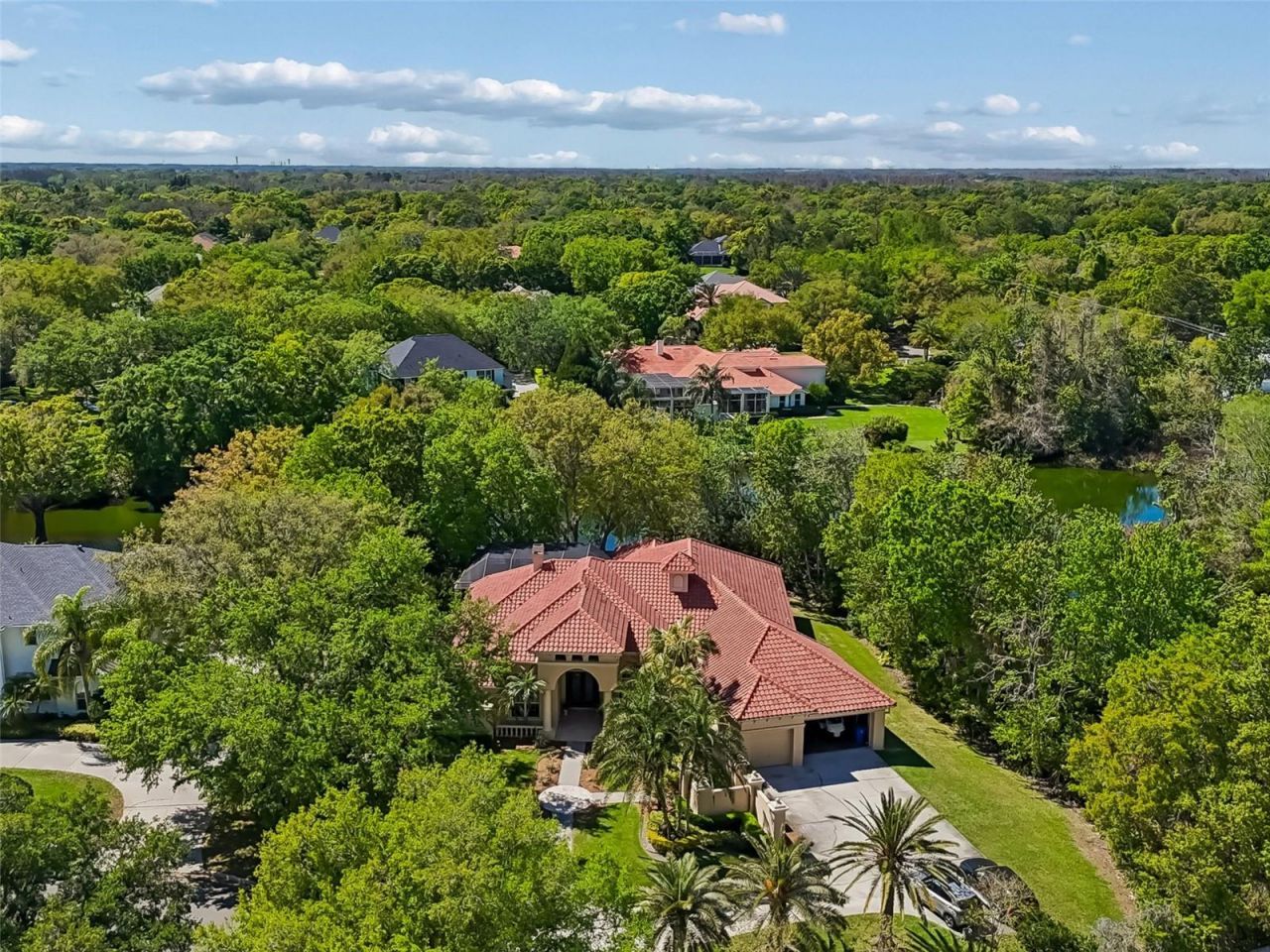 17008 Madres De Avila, Tampa, FL 33613 Photo