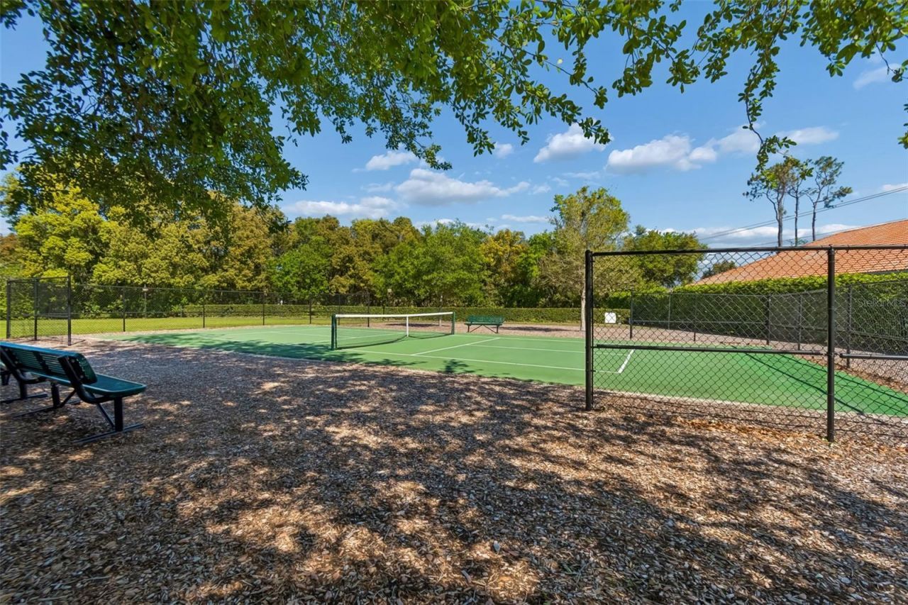 17008 Madres De Avila, Tampa, FL 33613 Photo